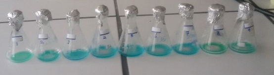 D:\xwu\Nano Biomedicine and Engineering\Articles for production\排版\10(1)\25-33 (Maryam Rad)) (2017-0065)\fig\mr1.jpg