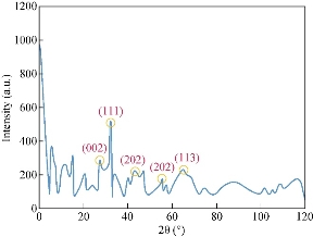 D:\xwu\Nano Biomedicine and Engineering\Articles for production\排版\10(1)\25-33 (Maryam Rad)) (2017-0065)\fig\mr5.jpg