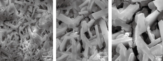 D:\xwu\Nano Biomedicine and Engineering\Articles for production\排版\10(1)\25-33 (Maryam Rad)) (2017-0065)\fig\mr6.jpg