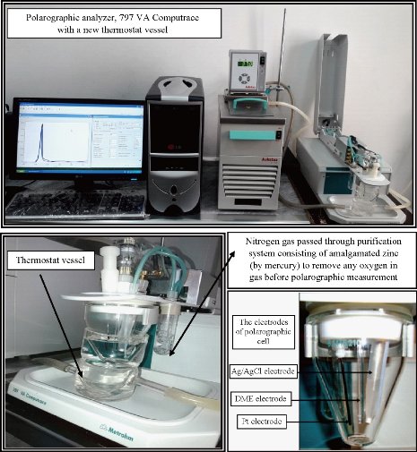 D:\xwu\Nano Biomedicine and Engineering\Articles for production\排版\10(2)\0023 p117-128 in proof\117-128\raat2.jpg