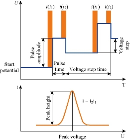 D:\xwu\Nano Biomedicine and Engineering\Articles for production\排版\10(2)\0023 p117-128 in proof\117-128\raat7.jpg