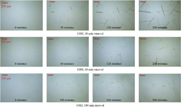 D:\xwu\Nano Biomedicine and Engineering\Articles for production\排版\10(4)\(3) NBE-2018-0070\figs\bgt2.jpg
