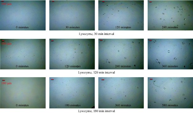 D:\xwu\Nano Biomedicine and Engineering\Articles for production\排版\10(4)\(3) NBE-2018-0070\figs\bgt3.jpg