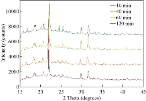 D:\xwu\Nano Biomedicine and Engineering\Articles for production\排版\10(4)\(3) NBE-2018-0070\figs\bgt7.jpg