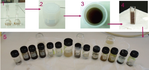 D:\xwu\Nano Biomedicine and Engineering\Articles for production\排版\10(4)\(8) NBE-2018-0028 COMPLETED\392-405\mgt1.jpg
