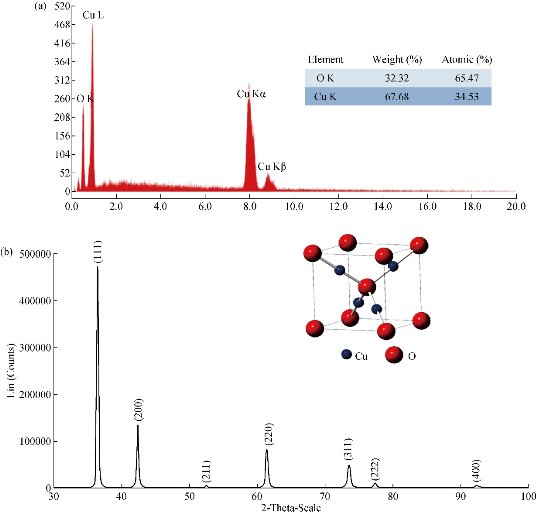 D:\xwu\Nano Biomedicine and Engineering\Articles for production\排版\10(4)\(8) NBE-2018-0028 COMPLETED\392-405\mgt2.jpg