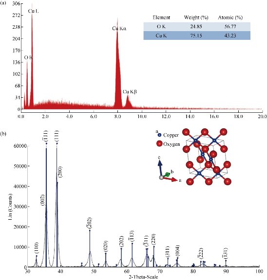D:\xwu\Nano Biomedicine and Engineering\Articles for production\排版\10(4)\(8) NBE-2018-0028 COMPLETED\392-405\mgt4.jpg