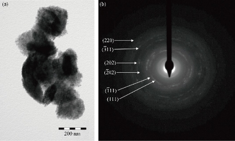D:\xwu\Nano Biomedicine and Engineering\Articles for production\排版\10(4)\(8) NBE-2018-0028 COMPLETED\392-405\mgt5.jpg