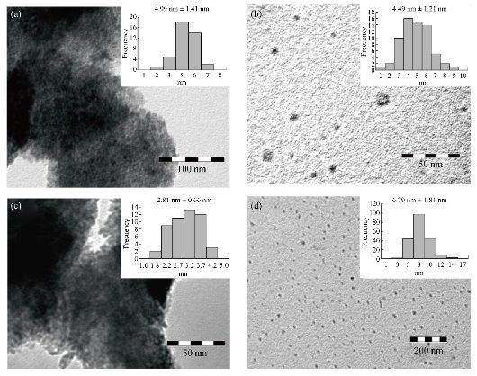D:\xwu\Nano Biomedicine and Engineering\Articles for production\排版\10(4)\(8) NBE-2018-0028 COMPLETED\392-405\mgt7.jpg