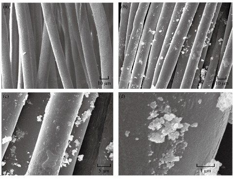 D:\xwu\Nano Biomedicine and Engineering\Articles for production\排版\10(4)\(8) NBE-2018-0028 COMPLETED\392-405\mgt9.jpg