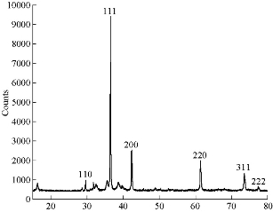 D:\xwu\Nano Biomedicine and Engineering\Articles for production\排版\10(4)\(9) NBE-2018-0057\406-416\hkkt4.jpg