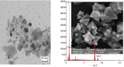 D:\xwu\Nano Biomedicine and Engineering\Articles for production\排版\10(4)\(9) NBE-2018-0057\406-416\hkkt6.jpg