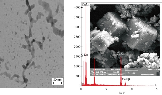 D:\xwu\Nano Biomedicine and Engineering\Articles for production\排版\10(4)\(9) NBE-2018-0057\406-416\hkkt7.jpg