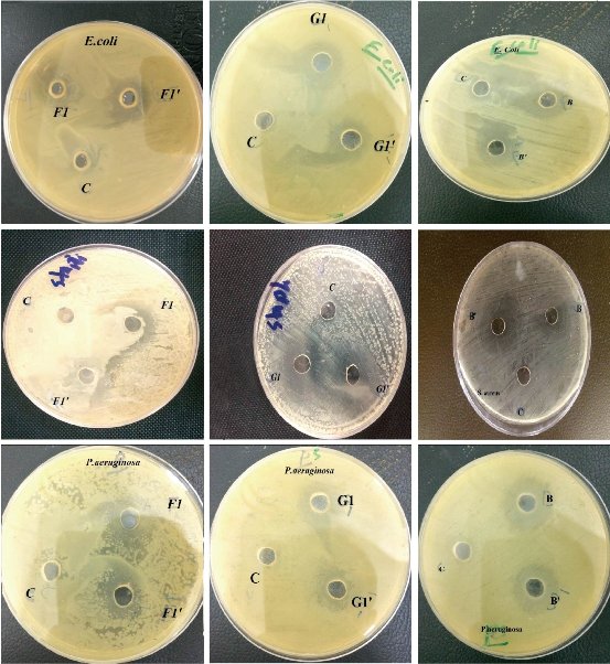 D:\xwu\Nano Biomedicine and Engineering\Articles for production\排版\11(1)\[8]_2018-0059 COMPLETED\67-83\mmft19.jpg
