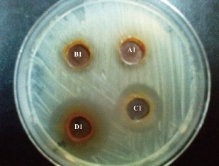 D:\xwu\Nano Biomedicine and Engineering\Articles for production\排版\11(2)\[1] NBE-2018-0055 排版修改中 20190416\099-110\rwat10.jpg