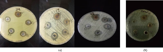 D:\xwu\Nano Biomedicine and Engineering\Articles for production\排版\2019\11(3)\8. NBE-2018-0094 已排版 代校订_20190910\297-305\soht6.jpg