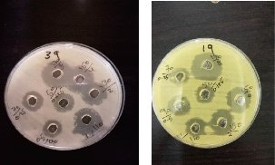 D:\xwu\Nano Biomedicine and Engineering\Articles for production\排版\2019\11(3)\8. NBE-2018-0094 已排版 代校订_20190910\297-305\soht8.jpg