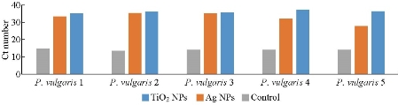 D:\xwu\Nano Biomedicine and Engineering\Articles for production\排版\2019\11(4)\2019-0040\figs\thst5.jpg