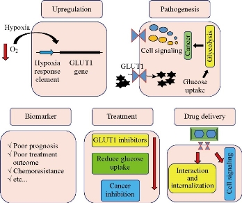 D:\xwu\Nano Biomedicine and Engineering\Articles for production\排版\2019\11(4)\NBE-2019-0042\fig\smt1.jpg