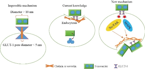 D:\xwu\Nano Biomedicine and Engineering\Articles for production\排版\2019\11(4)\NBE-2019-0042\fig\smt2.jpg
