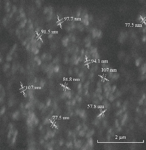 D:\xwu\Nano Biomedicine and Engineering\Articles for production\排版\2019\11(4)\5 NBE-2019-0017 (2019-11-18)\351-360\asgt11.jpg