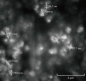 D:\xwu\Nano Biomedicine and Engineering\Articles for production\排版\2019\11(4)\5 NBE-2019-0017 (2019-11-18)\351-360\asgt14.jpg