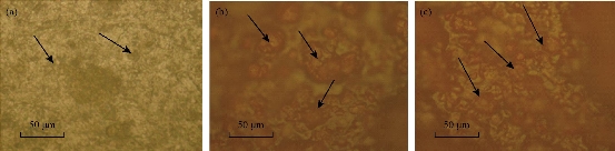 D:\xwu\Nano Biomedicine and Engineering\Articles for production\排版\2019\11(4)\6 NBE-2019-0036 (2019-11-20)\fig\tiht1.jpg