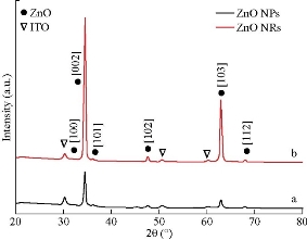 D:\xwu\Nano Biomedicine and Engineering\Articles for production\排版\2019\11(4)\8 NBE-2019-0068\fig\amht1.jpg