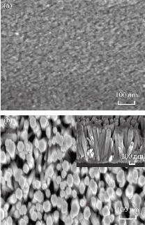 D:\xwu\Nano Biomedicine and Engineering\Articles for production\排版\2019\11(4)\8 NBE-2019-0068\fig\amht2.jpg