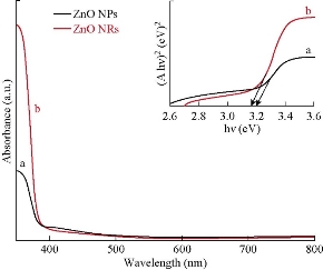 D:\xwu\Nano Biomedicine and Engineering\Articles for production\排版\2019\11(4)\8 NBE-2019-0068\fig\amht3.jpg