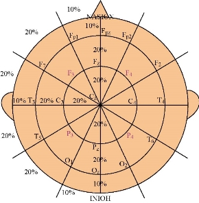 D:\xwu\Nano Biomedicine and Engineering\Articles for production\排版\2019\11(4)\10 NBE-2019-0043\391-401\mkwt2.jpg