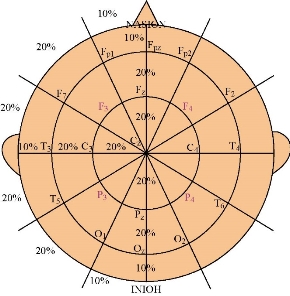 D:\xwu\Nano Biomedicine and Engineering\Articles for production\排版\2019\11(4)\10 NBE-2019-0043\391-401\mkwt2.jpg