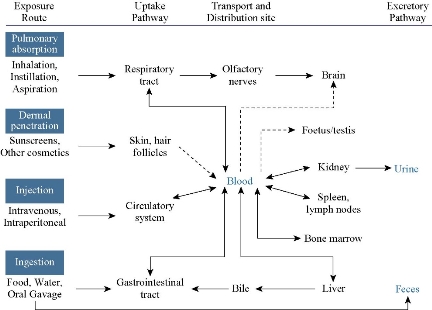 D:\xwu\Nano Biomedicine and Engineering\Articles for production\排版\2020\12(1)\2020 12(1)\V12N1JPG\12(2).3\ouat1.jpg