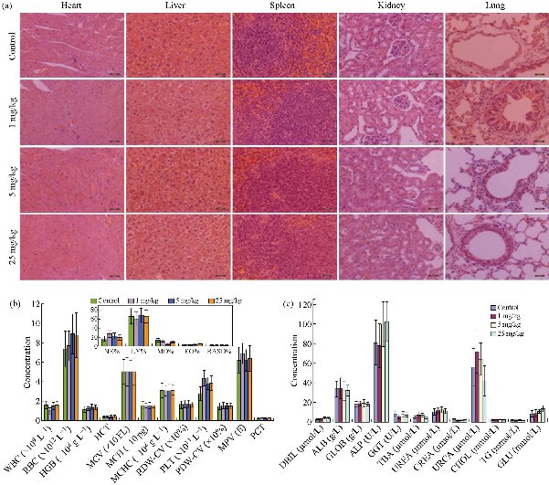 D:\xwu\Nano Biomedicine and Engineering\Articles for production\排版\2020\12(1)\2020 12(1)\V12N1JPG\12(2).3\ouat2.jpg