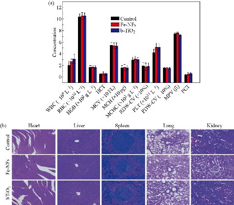 D:\xwu\Nano Biomedicine and Engineering\Articles for production\排版\2020\12(1)\2020 12(1)\V12N1JPG\12(2).3\ouat3.jpg