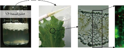 D:\xwu\Nano Biomedicine and Engineering\Articles for production\排版\2020\12(1)\2020 12(1)\V12N1JPG\12(2).3\ouat7.jpg