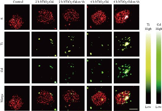 D:\xwu\Nano Biomedicine and Engineering\Articles for production\排版\2020\12(1)\2020 12(1)\V12N1JPG\12(2).3\ouat10.jpg