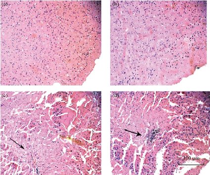 D:\xwu\Nano Biomedicine and Engineering\Articles for production\排版\2020\12(1)\2020 12(1)\V12N1JPG\12(2).3\ouat11.jpg