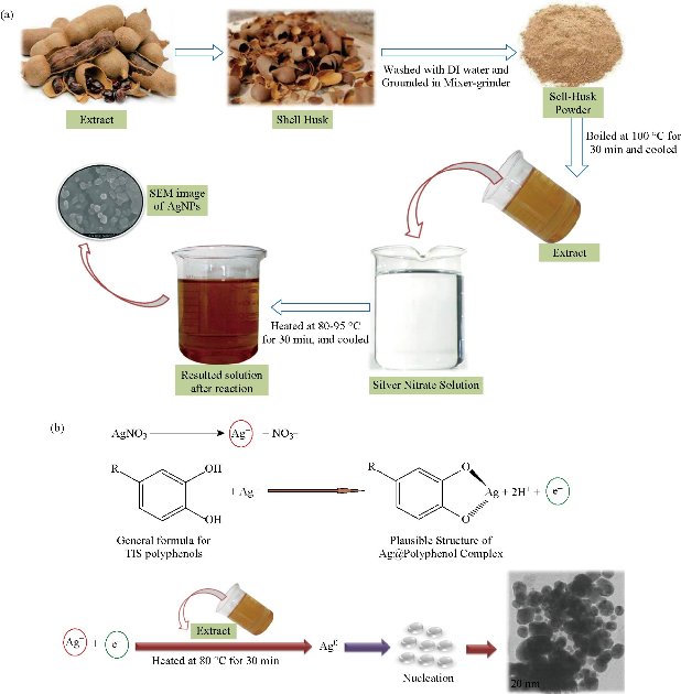 D:\xwu\Nano Biomedicine and Engineering\Articles for production\排版\2020\12（1）\2020 12（1）\V12N1JPG\12(2).5\rstt1.jpg