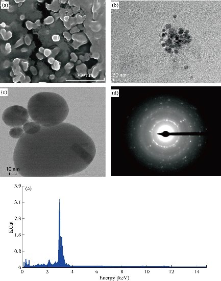 D:\xwu\Nano Biomedicine and Engineering\Articles for production\排版\2020\12（1）\2020 12（1）\V12N1JPG\12(2).5\rstt3.jpg