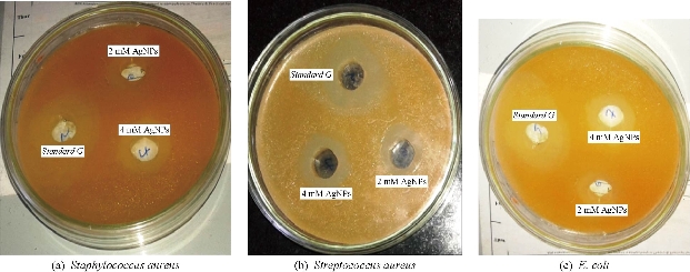 D:\xwu\Nano Biomedicine and Engineering\Articles for production\排版\2020\12（1）\2020 12（1）\V12N1JPG\12(2).5\rstt4.jpg