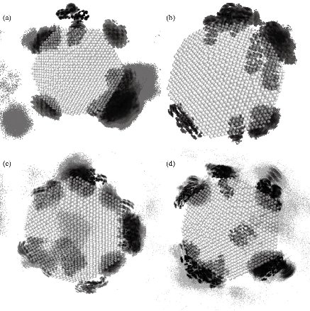 D:\xwu\Nano Biomedicine and Engineering\Articles for production\排版\2020\12（1）\2020 12（1）\V12N1JPG\12(1).8\fst3.jpg