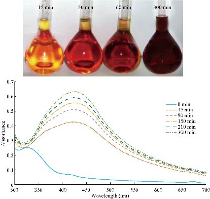 D:\xwu\Nano Biomedicine and Engineering\Articles for production\排版\2020\12（1）\2020 12（1）\V12N1JPG\12(1).8\fst5.jpg