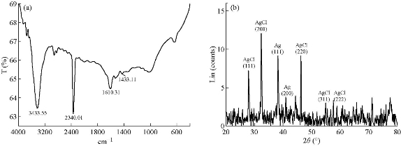 D:\xwu\Nano Biomedicine and Engineering\Articles for production\排版\2020\12（1）\2020 12（1）\V12N1JPG\12(1).8\fst7.jpg