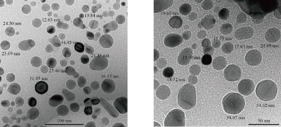 D:\xwu\Nano Biomedicine and Engineering\Articles for production\排版\2020\2020 12(3)\【8 排版中】NBE-2020-0014（2020-0-4）\出版\253-261\ahit9.jpg