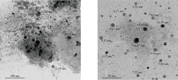 D:\xwu\Nano Biomedicine and Engineering\Articles for production\排版\2020\2020 12(3)\【8 排版中】NBE-2020-0014（2020-0-4）\出版\253-261\ahit10.jpg