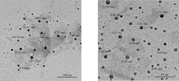 D:\xwu\Nano Biomedicine and Engineering\Articles for production\排版\2020\2020 12(3)\【8 排版中】NBE-2020-0014（2020-0-4）\出版\253-261\ahit11.jpg