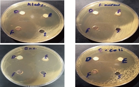 D:\xwu\Nano Biomedicine and Engineering\Articles for production\排版\2020\2020 12(3)\【8 排版中】NBE-2020-0014（2020-0-4）\出版\253-261\ahit12.jpg