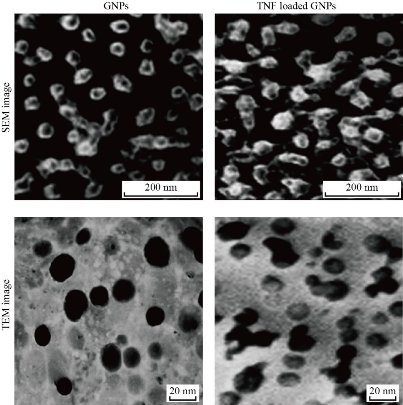 D:\xwu\Nano Biomedicine and Engineering\Articles for production\排版\2020\2020 12(3)\【9 修改中】NBE-2020-0026\正式排版\262-271\nat2.jpg