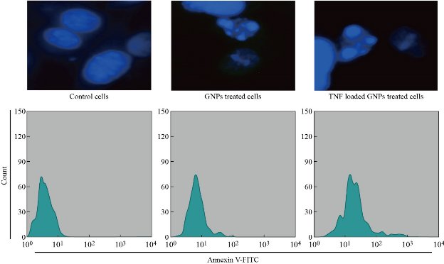 D:\xwu\Nano Biomedicine and Engineering\Articles for production\排版\2020\2020 12(3)\【9 修改中】NBE-2020-0026\正式排版\262-271\nat6.jpg